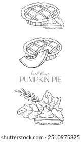 Pumpkin Pie outline isolated on white. Pumpkins line art ilustration. Fall Pumpkins Hand Drawn. Fall Coloring Page. Traditional Thanksgiving Pie