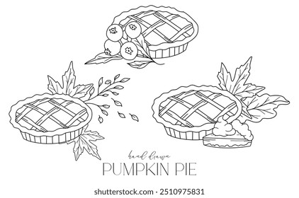 Pumpkin Pie outline isolated on white. Pumpkins line art ilustration. Fall Pumpkins Hand Drawn. Fall Coloring Page. Traditional Thanksgiving Pie