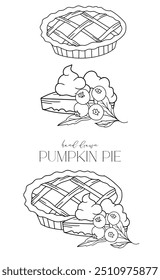 Pumpkin Pie outline isolated on white. Pumpkins line art ilustration. Fall Pumpkins Hand Drawn. Fall Coloring Page. Traditional Thanksgiving Pie