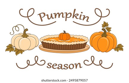 Pumpkin pie and ripe whole pumpkins flat vector illustration, decorative elements for design, isolated on white background