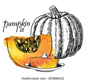 Pumpkin and pumpkin pie. Pumpkin pie slice. Piece of pie on a plate. Vector illustration.