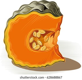 Pumpkin piece on a white background.