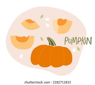 Pumpkin and pumpkin pieces. Cut vegetable isolated. Healthy eating Vegetable Ingredients for cooking. Autumn flat design for menu, cafe, restaurant, farmers market, recipe, thanksgiving dinner design