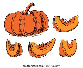 pumpkin and pumpkin pieces hand-drawn colored sketch on white background