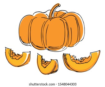 pumpkin and pieces of pumpkin hand-drawn colored sketch on white background