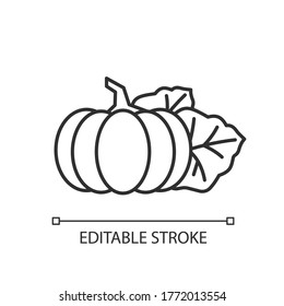 Pumpkin pixel perfect linear icon. Seasonal fresh vegetable. Nutrient gourd from farm market. Thin line customizable illustration. Contour symbol. Vector isolated outline drawing. Editable stroke