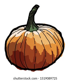Pumpkin plant halloween vector graphic hand-drawn