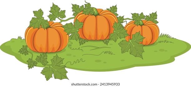 Pumpkin plant isolated on white background