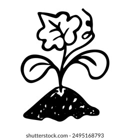 Pumpkin plant seedling planted in ground with leaves hand drawn in doodle style. Hobby gardening. Natural economy. Growing flowers and vegetables. Vector line art illustration.