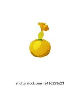 Pumpkin plant with vines and flower, realistic style vector illustration isolated on white background. Pumpkin symbol for food labels and game ui element.