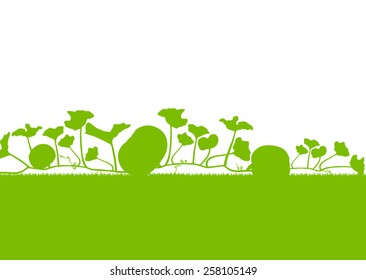 Pumpkin plants field vector background ecology green concept