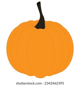 calabaza con elemento vector de cola ponytail aislado sobre fondo blanco