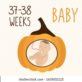 Pumpkin. pregnancy development, size of embryo for weeks. compare with vegetables. Human fetus inside the womb 8 months.Vector illustrations