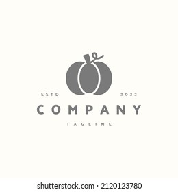Pumpkin premium icon sign symbol. Hipster vintage logo design vector illustration