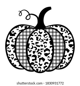 Pumpkin with prints. Pumpkin with leopard print and plaid cage.