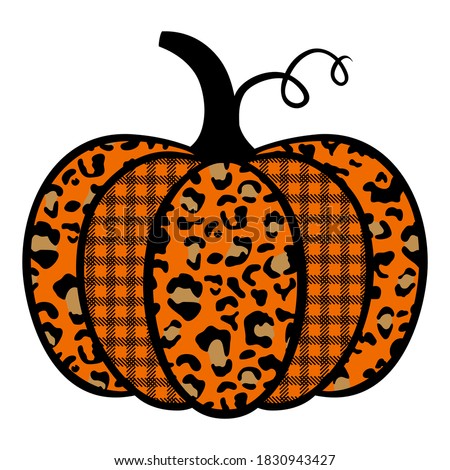 Pumpkin with prints. Pumpkin with leopard print and plaid cage.