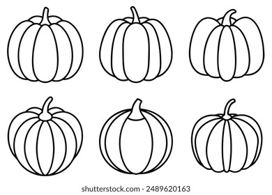 Pumpkin Pulp Line Art Seasonal Harvest