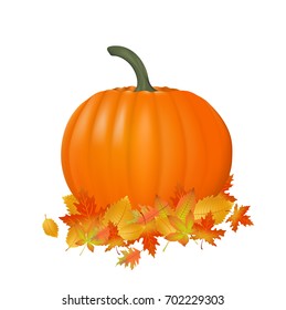 Pumpkin realistic illustration isolated on white. Fresh and orange vegetable with autumn leaves