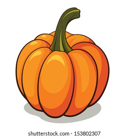 Pumpkin, realistic vector illustration