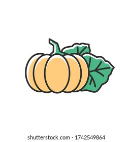 Pumpkin RGB color icon. Seasonal fresh vegetable. Nutrient gourd from farm market. Ripe whole autumnal veggie. October harvest, vegan salad ingredient. Isolated vector illustration