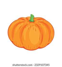 Pumpkin is rich in vitamins, beneficial properties and an excellent product for cooking, plant, vegetables, vector, illustration, pumpkin, contour, background, vitamins, isolate