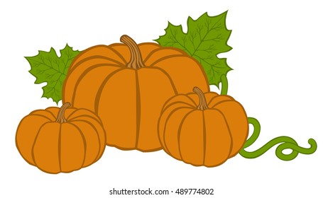 Pumpkin. Ripe pumpkin with leaves.