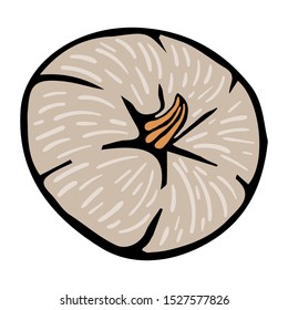 Pumpkin round sketch doodle isolated on a white background vector illustration for decoration and design