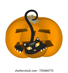 Pumpkin Scares Cat at Halloween. Vector illustration eps 10