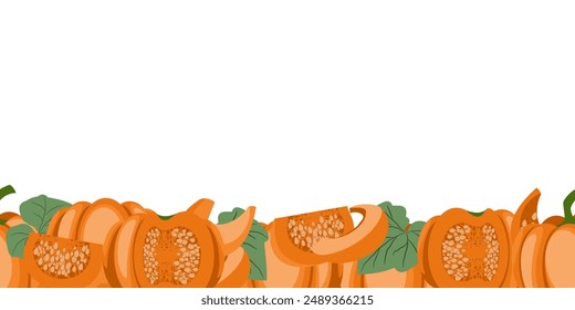 pumpkin seamless border, at the bottom there are many ripe pumpkins in a horizontal stripe. vector illustration, banner with whole mature pumpkins and pieces in cartoon style