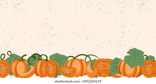 pumpkin seamless border, at the bottom there are many ripe pumpkins in a horizontal stripe. vector illustration, banner with whole mature pumpkins and pieces in cartoon style