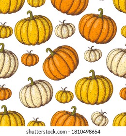 Pumpkin seamless pattern. Hand drawn background. Colorful vector illustration. Cute design with pumpkin.
