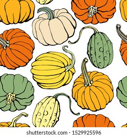 Pumpkin seamless pattern white background  Hand drawn pumpkin vector  Pumpkin patch 