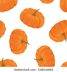 Pumpkin seamless pattern. Vector background with orange autumn vegetables on white. Cartoon flat illustration.