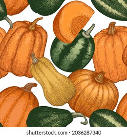Pumpkin seamless pattern. Vector hand drawn illustrations. Thanksgiving backdrop in retro style with pumpkin harvest. Autumn background.