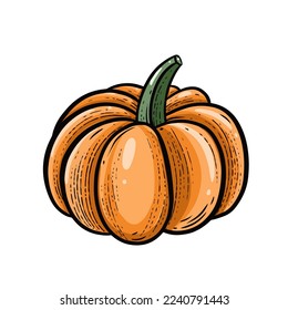 Pumpkin season hand drawn outline sketch style vector art illustration.