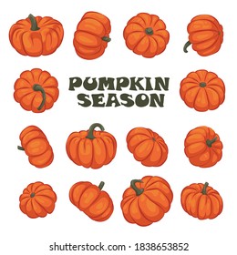 Temporada de calabazas. Conjunto vectorial de calabazas.