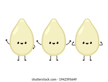 Diseño de caracteres de semilla de calabaza. Semilla de calabaza sobre fondo blanco.