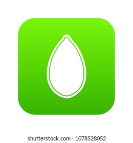 Pumpkin seed icon digital green for any design isolated on white vector illustration