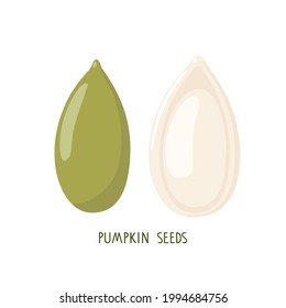 Pumpkin seed set. Isolated on white pumpkin seeds. Vegetable engraved. Organic, fresh cooking, healthy diet ingredient. For label template, farm market emblem, vegetarian and healthy life concept