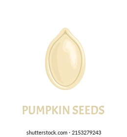 Pumpkin seed vector icon. Food vector flat illustration.