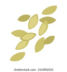 Pumpkin seeds. Cartoon vector isolated on white background