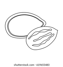 Pumpkin seeds. Different kinds of nuts single icon in outline style vector symbol stock illustration.