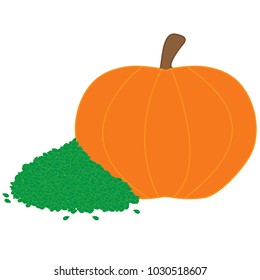 Pumpkin and seeds illustration. Vector