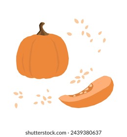 Pumpkin and seeds isolate icon. Minimalistic style, primitive cut geometric pattern vector.