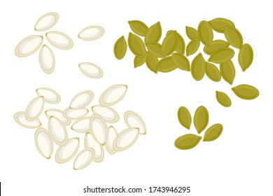 Pumpkin seeds isolated on white background. Whole and peeled pumpkin seeds. Roasted pumpkin seeds in cartoon style, top view. For template label, packing and emblem farmer market design. Stock vector