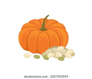 Pumpkin and seeds isolated on white. Vector cartoon flat illustration