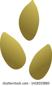 Pumpkin seeds isolated vector illustration