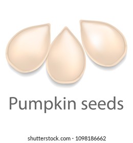 Pumpkin seeds mockup. Realistic illustration of pumpkin seeds vector mockup for web design isolated on white background