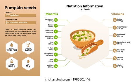 Pumpkin seeds and its nutritional properties -Vector illustration