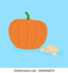 pumpkin and seeds on a blue background